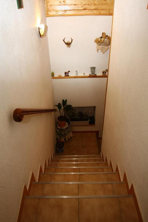 Apartments Nena Smoljanac Dış mekan fotoğraf